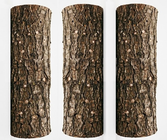 Woodland Mushroom Log Trio