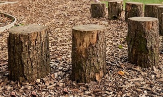 Waldorf Playground Stepping Stumps