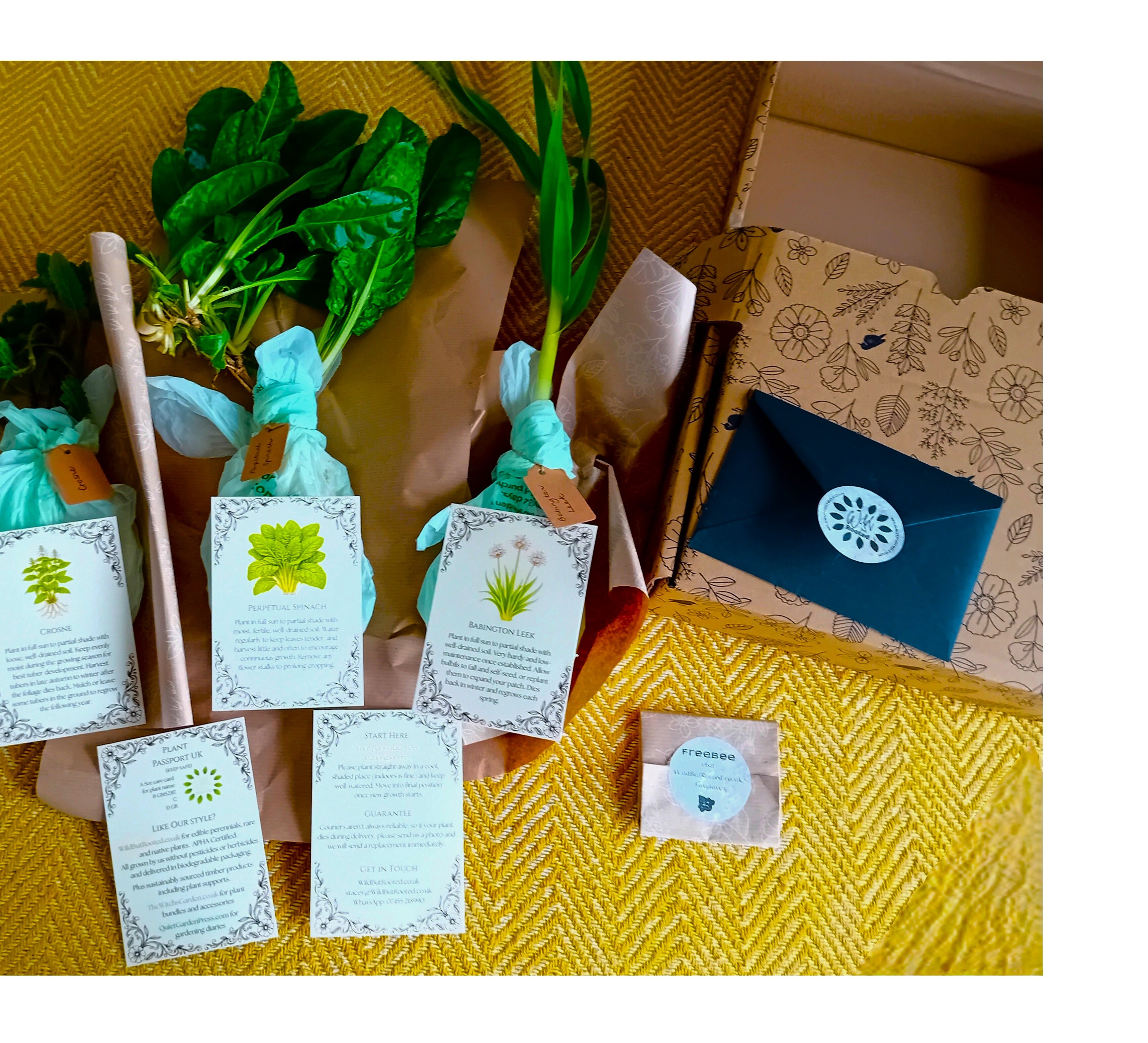 Gift Collections/ Plant Bundles